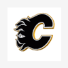 GoFlamesGo